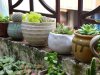 Teraryum Nedir ve Ne Amaçla Kullanılır, Yapımı Nasıldır